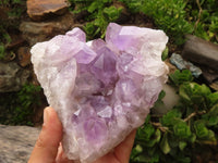 Natural Jacaranda Amethyst Clusters  x 2 From Mumbwa, Zambia - Toprock Gemstones and Minerals 