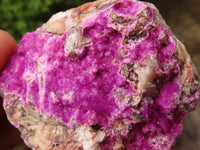 Natural Pink Salrose Cobaltion Dolomite Specimens  x 6 From Kakanda, Congo - Toprock Gemstones and Minerals 