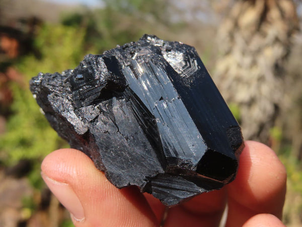 Natural Schorl Black Tourmaline Specimens x 6 From Erongo, Namibia