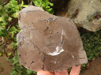 Natural Large Smokey Quartz Crystals  x 2 From Mulanje, Malawi - TopRock