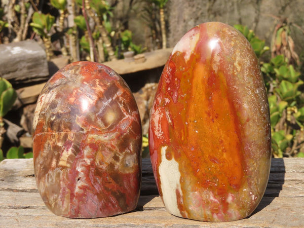 Polished Polychrome Jasper & Petrified Wood Standing Free Forms x 1 From Madagascar