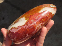 Polished Polychrome Jasper & Petrified Wood Standing Free Forms x 1 From Madagascar