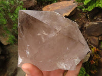 Natural Large Smokey Quartz Crystals  x 2 From Mulanje, Malawi - TopRock