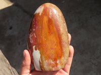 Polished Polychrome Jasper & Petrified Wood Standing Free Forms x 1 From Madagascar