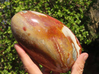 Polished Polychrome Jasper & Petrified Wood Standing Free Forms x 1 From Madagascar