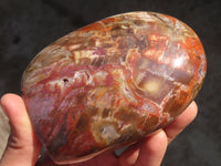 Polished Polychrome Jasper & Petrified Wood Standing Free Forms x 1 From Madagascar