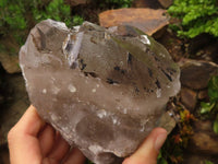 Natural Large Smokey Quartz Crystals  x 2 From Mulanje, Malawi - TopRock