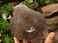 Natural Large Smokey Quartz Crystals  x 2 From Mulanje, Malawi - TopRock