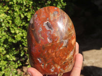 Polished Polychrome Jasper & Petrified Wood Standing Free Forms x 1 From Madagascar