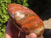 Polished Polychrome Jasper & Petrified Wood Standing Free Forms x 1 From Madagascar