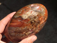 Polished Polychrome Jasper & Petrified Wood Standing Free Forms x 1 From Madagascar