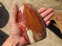 Polished Polychrome Jasper & Petrified Wood Standing Free Forms x 1 From Madagascar