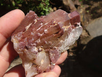 Natural Red Hematite Quartz Specimens  x 6 From Karoi, Zimbabwe - TopRock