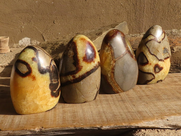 Polished Septaria Standing Free Forms x 4 From Mahajanga, Madagascar