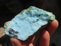 Natural Drusy Coated Chrysocolla Dolomite Specimens x 6 From Congo