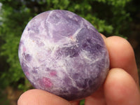 Polished Mini Purple Lepidolite Palm Stones  x 20 From Madagascar - Toprock Gemstones and Minerals 