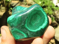 Polished Malachite Free Forms With Stunning Flower & Banding Patterns x 6 From Congo - TopRock