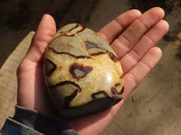 Polished Septaria Standing Free Forms x 4 From Mahajanga, Madagascar