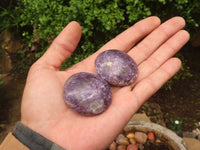 Polished Mini Purple Lepidolite Palm Stones  x 20 From Madagascar - Toprock Gemstones and Minerals 