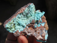 Natural Drusy Coated Chrysocolla Dolomite Specimens x 6 From Congo