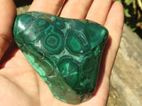 Polished Malachite Free Forms With Stunning Flower & Banding Patterns x 6 From Congo - TopRock