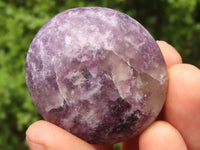 Polished Mini Purple Lepidolite Palm Stones  x 20 From Madagascar - Toprock Gemstones and Minerals 