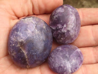 Polished Mini Purple Lepidolite Palm Stones  x 20 From Madagascar - Toprock Gemstones and Minerals 