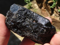 Natural Rough Alluvial Schorl Black Tourmaline Crystals  x 2 Kg Lot From Zambia - TopRock