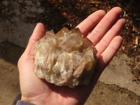 Natural Cascading White Phantom Smokey Quartz Clusters x 6 From Luena, Congo