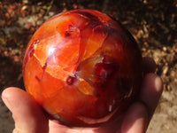 Polished Large Carnelian Agate Spheres  x 2 From Madagascar