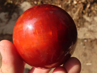 Polished Large Carnelian Agate Spheres  x 2 From Madagascar