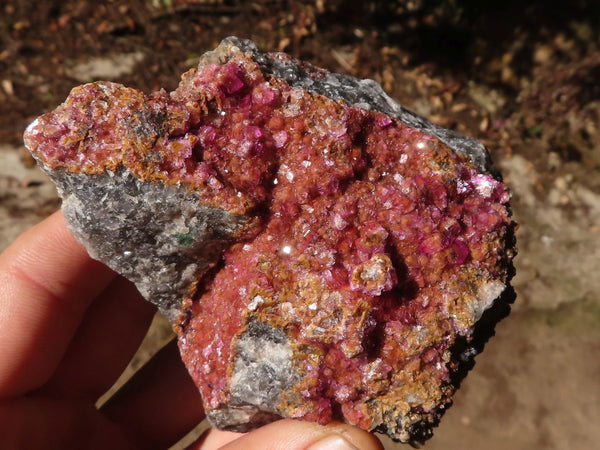 Natural Pink Salrose Cobaltion Dolomite Specimens  x 3 From Kakanda, Congo