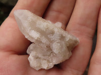 Natural Mini Fairy Spirit Quartz Crystals  x 0.8 Kg Lot From Boekenhouthoek, South Africa - TopRock