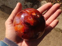 Polished Large Carnelian Agate Spheres  x 2 From Madagascar