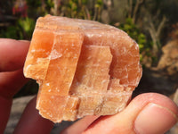 Natural New Sunset Orange Calcite Specimens  x 24 From Spitzkop, Namibia