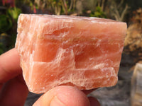 Natural New Sunset Orange Calcite Specimens  x 24 From Spitzkop, Namibia