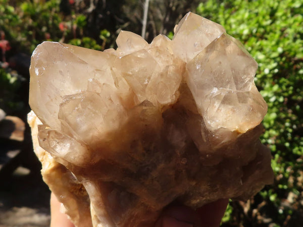 Natural Smokey Quartz Clusters x 2 From Luena, Congo