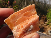 Natural New Sunset Orange Calcite Specimens  x 24 From Spitzkop, Namibia