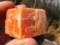 Natural New Sunset Orange Calcite Specimens  x 24 From Spitzkop, Namibia