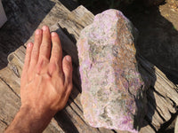 Natural Large Rough Stichtite & Serpentine Specimen x 1 From Barberton, South Africa