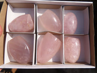 Polished Pink Rose Quartz Standing Free Forms x 6 From Antsirabe, Madagascar