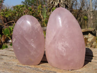 Polished Pink Rose Quartz Standing Free Forms x 6 From Antsirabe, Madagascar