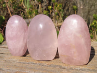 Polished Pink Rose Quartz Standing Free Forms x 6 From Antsirabe, Madagascar