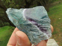 Natural Cobbed & Stone Sealed Watermelon Fluorite Pieces x 24 From Uis, Namibia - TopRock