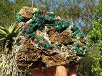 Natural Rare Ball Malachite On Drusy Quartz & Dolomite Matrix  x 1 From Kambove, Congo - Toprock Gemstones and Minerals 