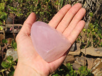 Polished Pink Rose Quartz Standing Free Forms x 6 From Antsirabe, Madagascar