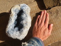 Natural Blue Celestite Geode Specimen  x 1 From Sakoany, Madagascar