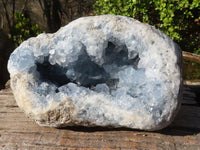 Natural Blue Celestite Geode Specimen  x 1 From Sakoany, Madagascar