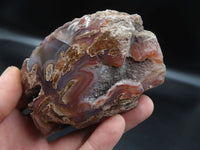 Polished Red Sashe River Agate Nodules x 6 From Limpopo River, Zimbabwe - TopRock