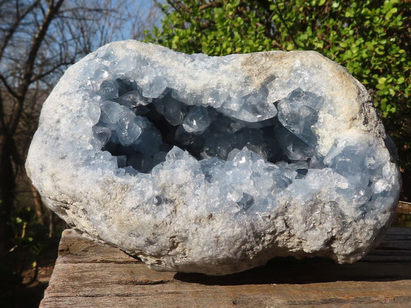 Natural Blue Celestite Geode Specimen  x 1 From Sakoany, Madagascar